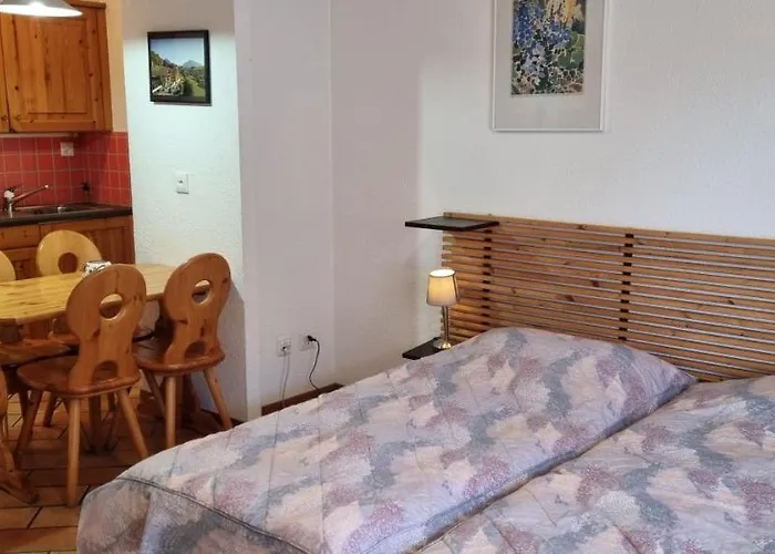 Castel Club Parc Leysin