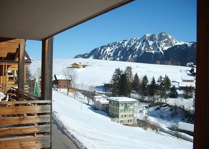 Castel Club Parc Apartament Leysin