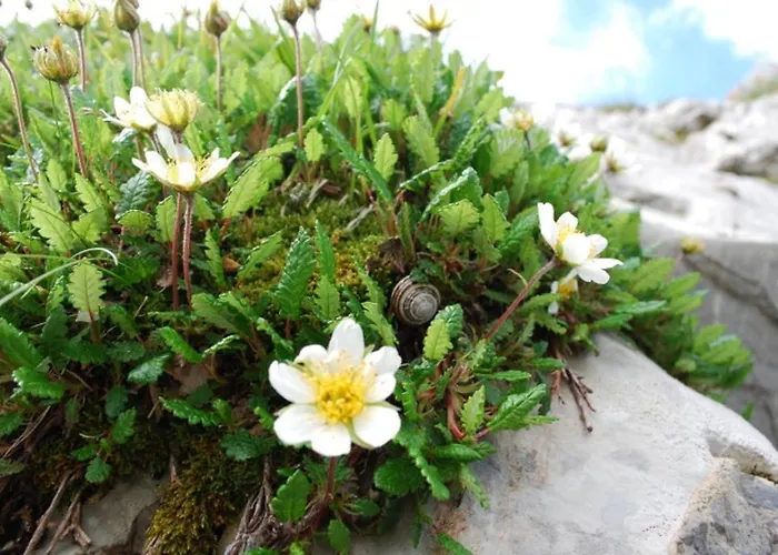 レジデンス カステル クラブ レザン パルク * レイサン